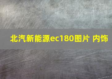 北汽新能源ec180图片 内饰